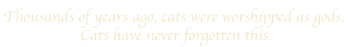Thousands of years ago, cats were worshipped as gods. Cats have never forgotten this.